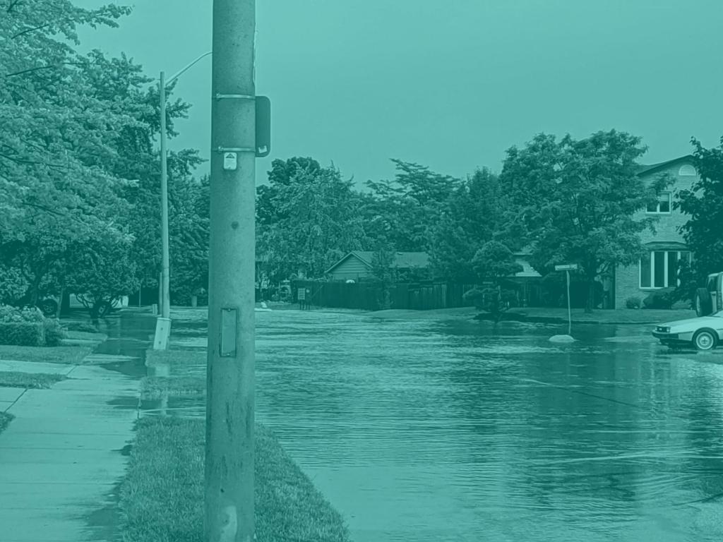 Flood Resilience